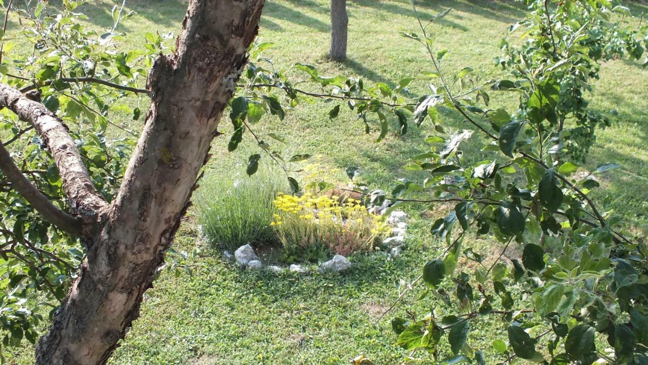Guest House Ema Grabovac (Karlovac) Exterior foto